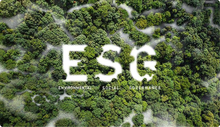 Targa Telematics - Viasat Italia | Sostenibilità Targa Telematics - Viasat Italia|Sostenibilità