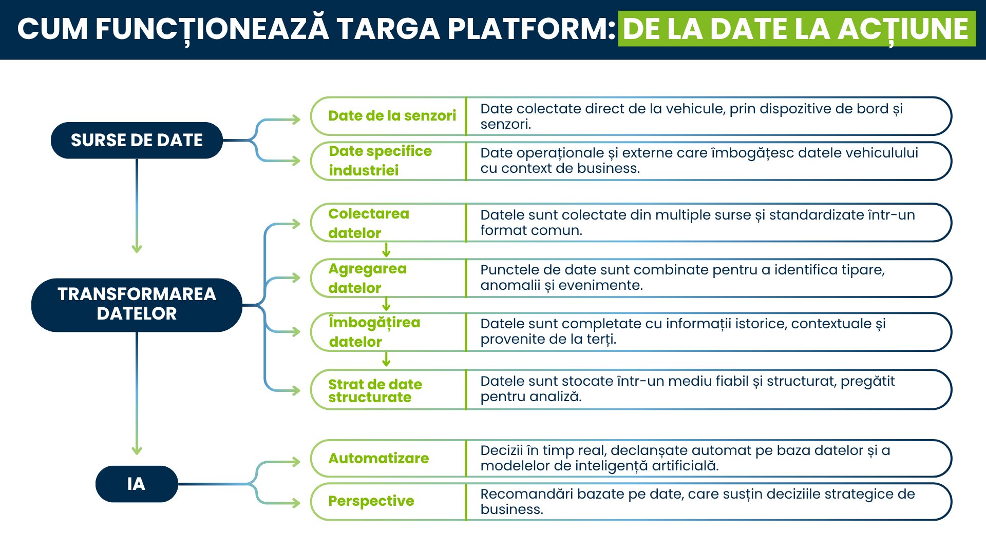 Infografic care arată cum funcționează platforma Targa
