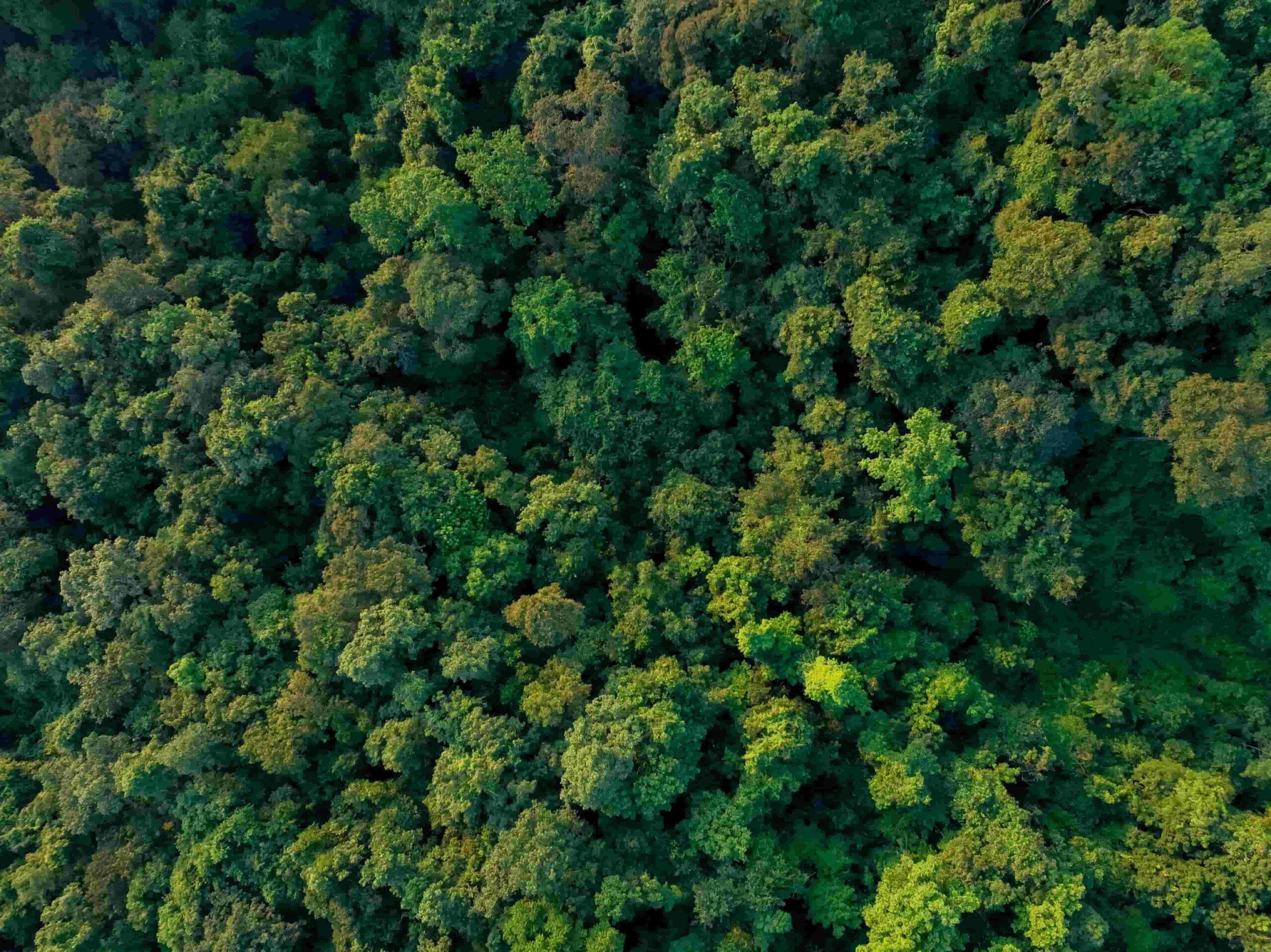Targa Telematics | Sustainability Targa Telematics|Sustainability